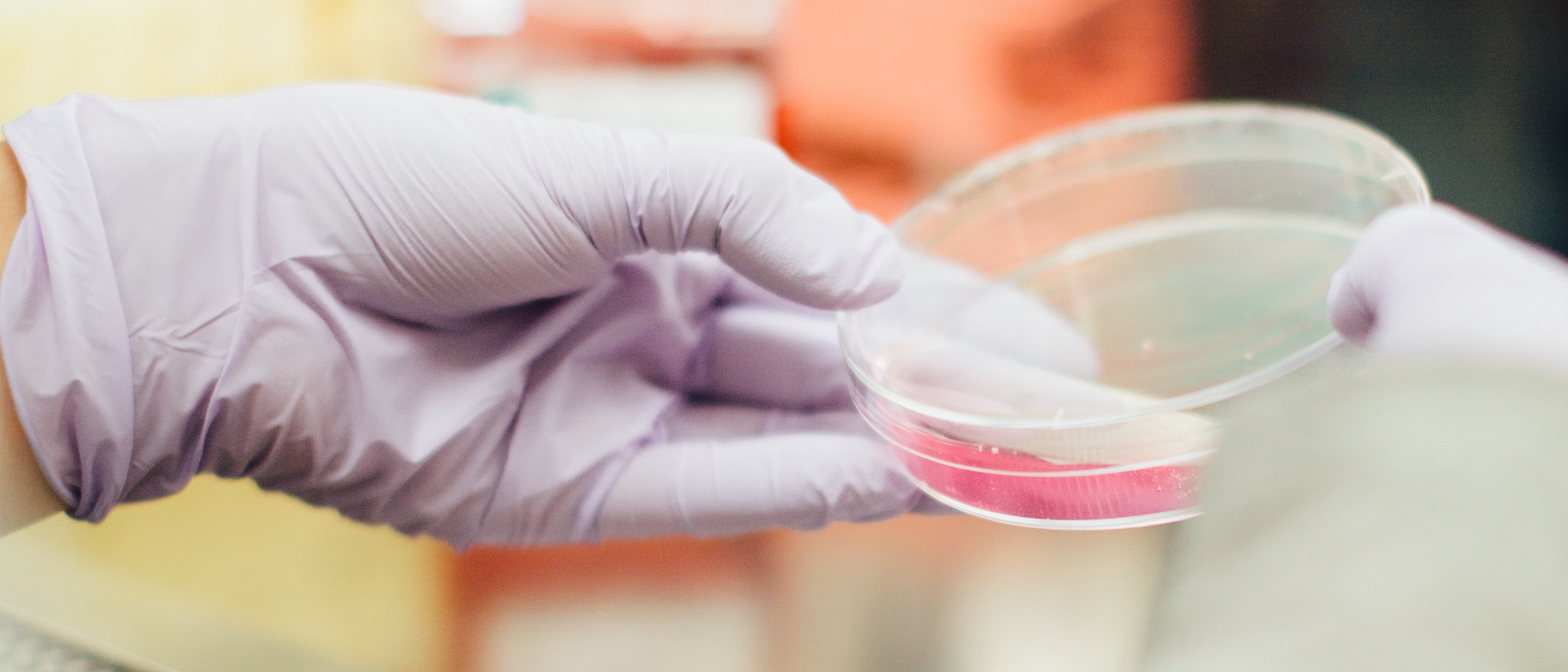 Engineered reprogramming factors for iPSC generation